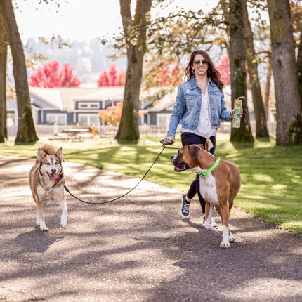 Dual Doggie Gel Leash