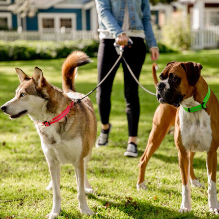 Dual Doggie Gel Leash