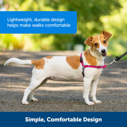 Easy Walk  Harness