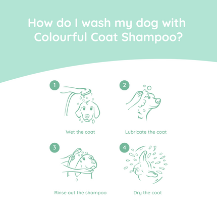 Hondenshampoo Colourful Coat 270 ml