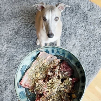 PlaqueOff Poeder voor Honden