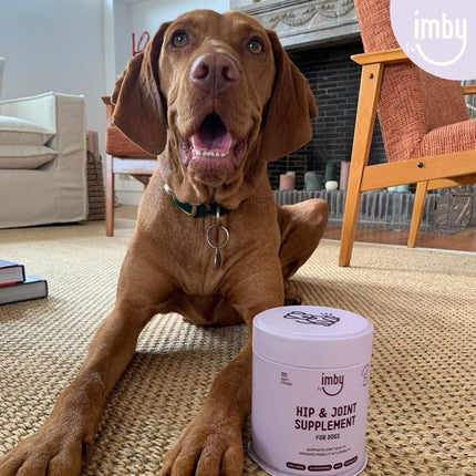 Hip & Joint Supplement voor honden