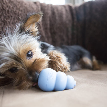 Puppy Kong