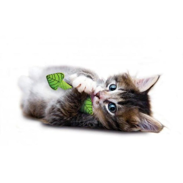 Fresh Breath Mint Stick