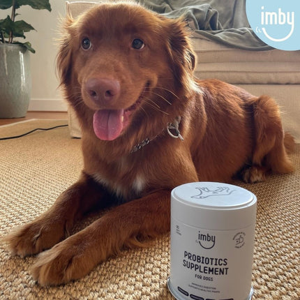 Probiotics Supplement voor honden