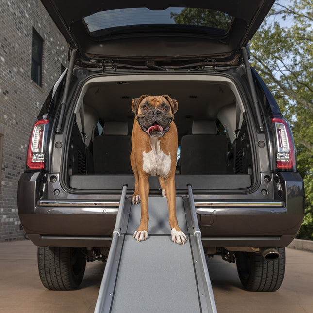 Happy Ride™ Compact Telescoping Dog Ramp
