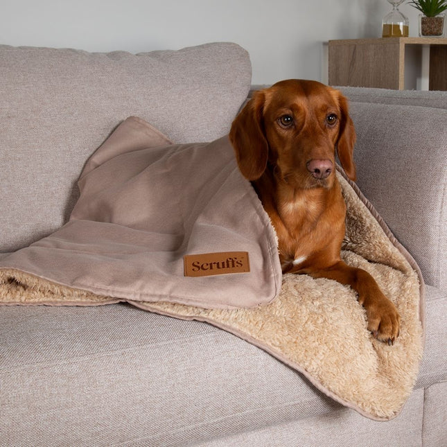 Display Cosy Blanket - 40 stuks