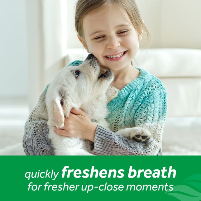 Fresh Breath - Oral Care Foam voor honden