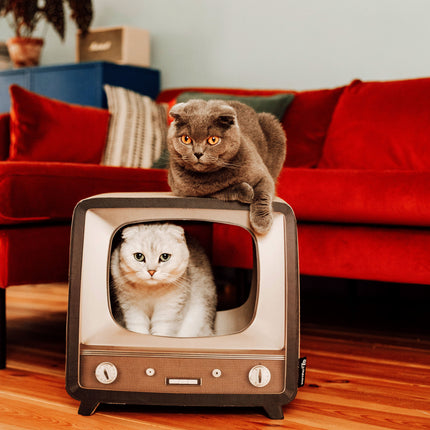 TELLY