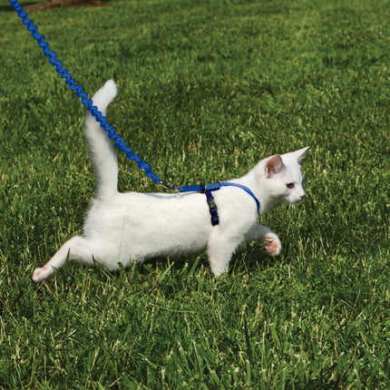 Easy Walk Cat Harness with Bungee Leash