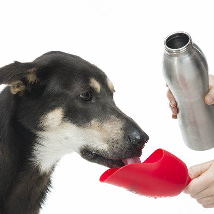 H2O Stainless Steel Water Bottle