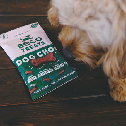 Treats - Dog Choc with Camomile & Quinoa