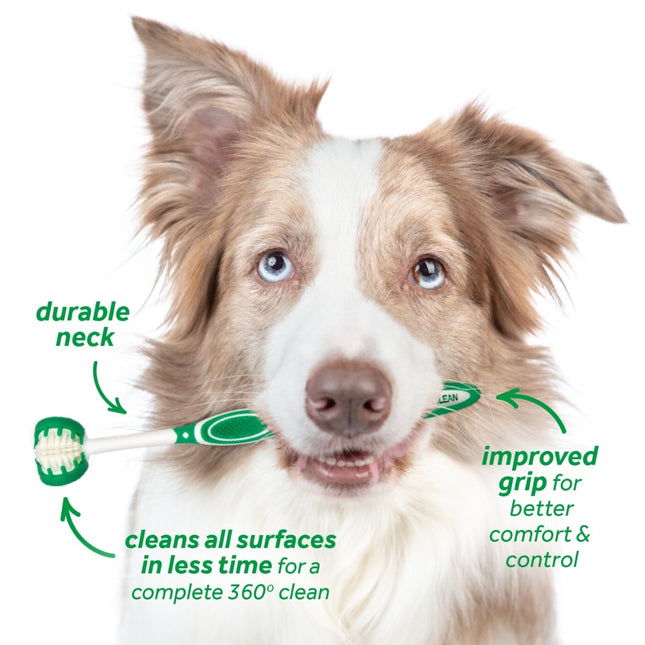 Fresh Breath - Oral Care Kit voor grote honden