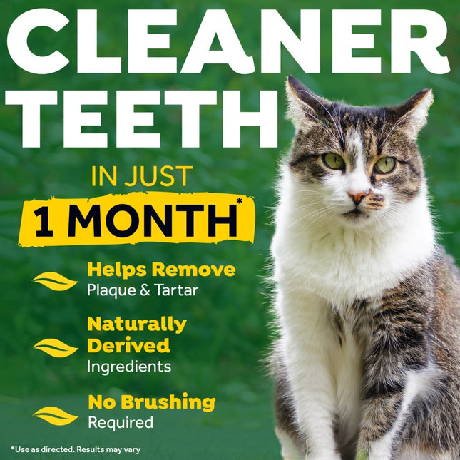 Fresh Breath - Clean Teeth Gel voor katten