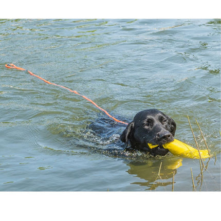 Swim Leash
