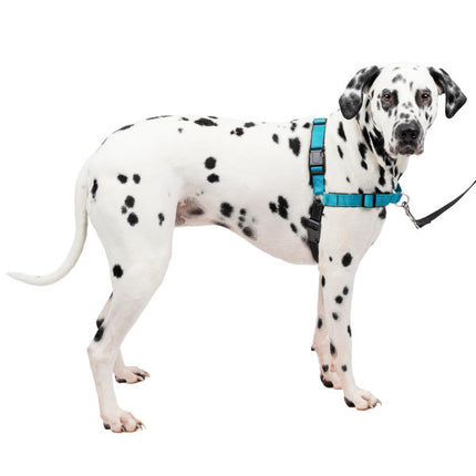 Easy Walk Deluxe Harness