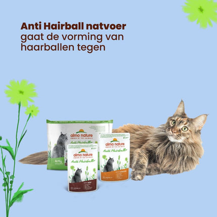 Anti Hairball Natvoer Kat - Zakjes - 30 x 70g