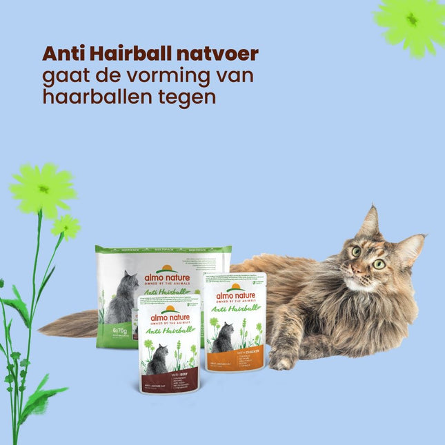 Anti Hairball Natvoer Kat - Zakjes - 30 x 70g