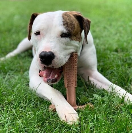 Bam-Bones Plus - Easy Grip