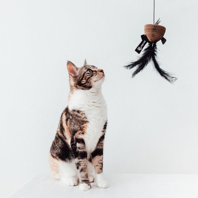 BAIT Kattenhengel