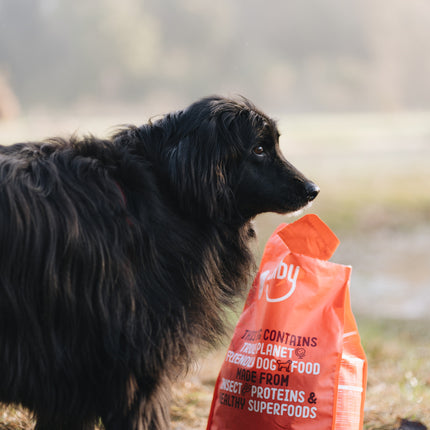 Insect-based Dry Food - Medium