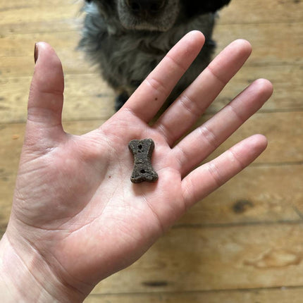 Treats - Dog Choc with Camomile & Quinoa