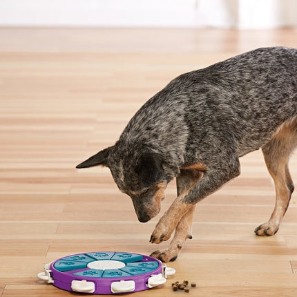 Dog Twister