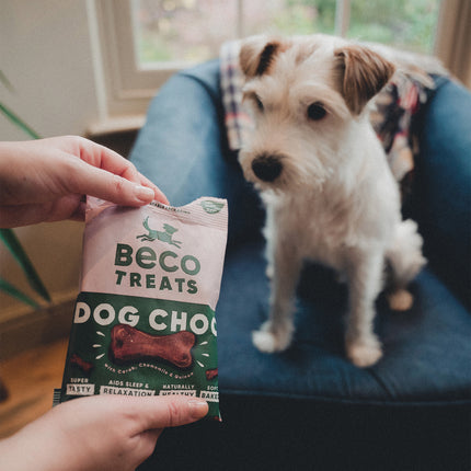 Treats - Dog Choc with Camomile & Quinoa