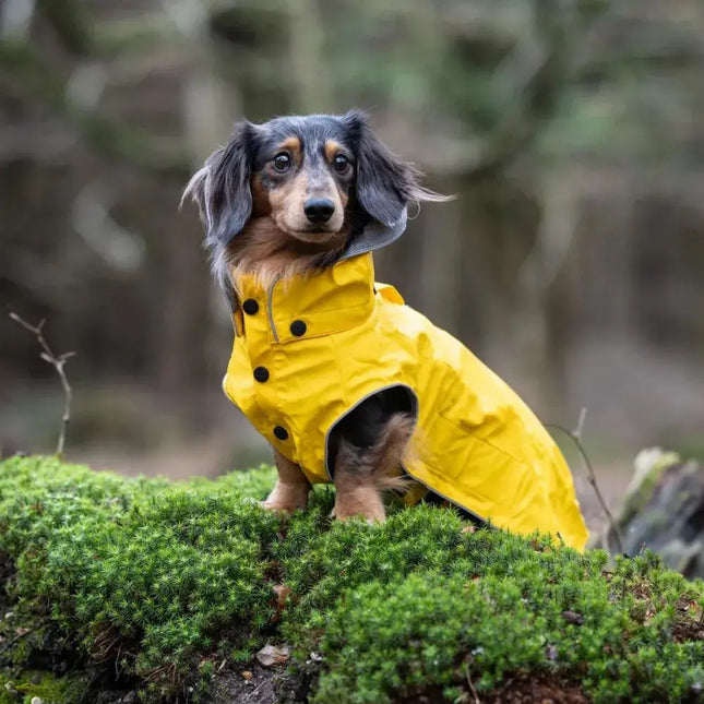 Stream Raincoat