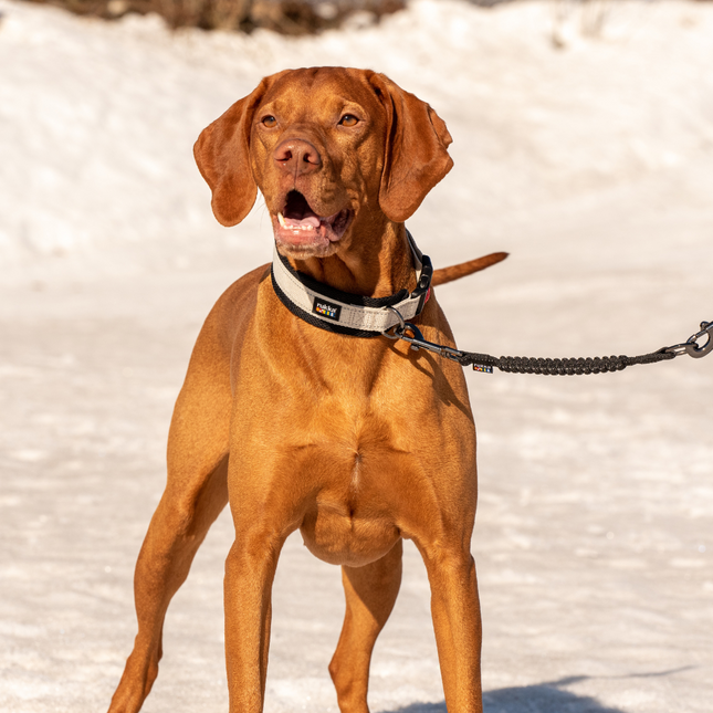 Bliss Anti-Schock-Erweiterung