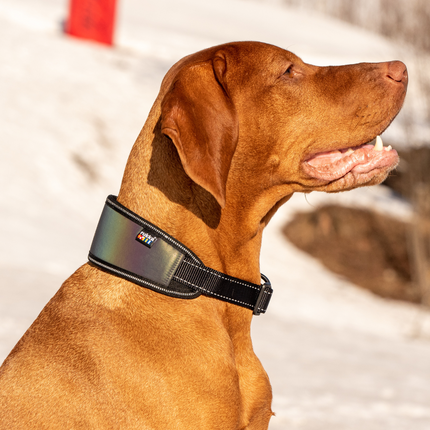 Luminous Soft Collar