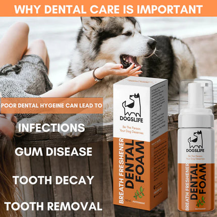Dental Foam