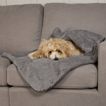 Display Cosy Blanket - 40 stuks