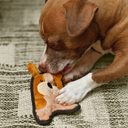 Durablez Puppy - XS