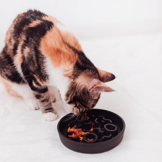 BAMBOO Slow Feeder voor Katten