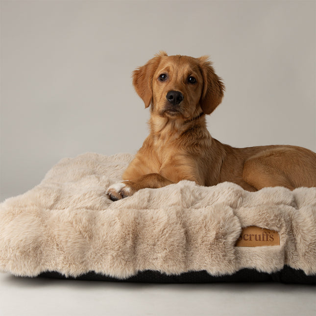 Alpine Mattress