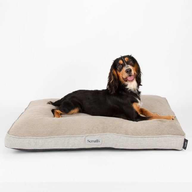 Harvard Orthopedisch Matras