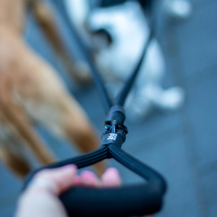 Adjustable Double Dog Leash