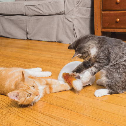 Fox Den Toy Automatic Cat Teaser