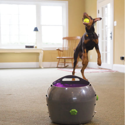 Automatic Ball Launcher