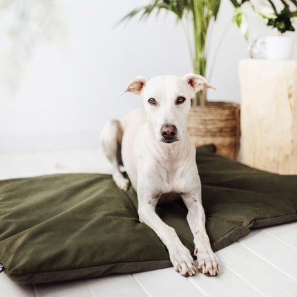 LODGE Benchmat