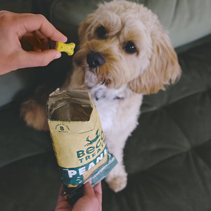 Treats - Peanut with Coconut & Turmeric