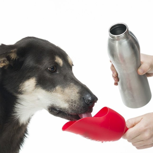 H2O Stainless Steel Water Bottle