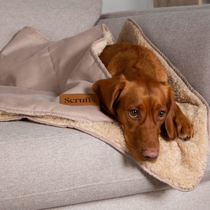 Cosy Blanket