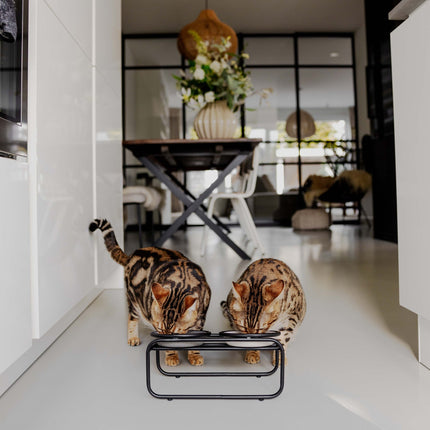 BUTLER Katzenfutterständer