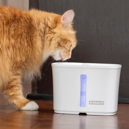 Viva™ Pet Fountain 1.8 L