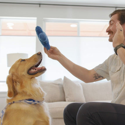 Dog's Best Friend Game™