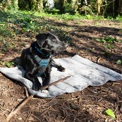 Expedition Roll Up Travel Pet Bed