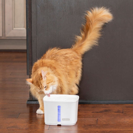 Viva™ Pet Fountain 1.8 L