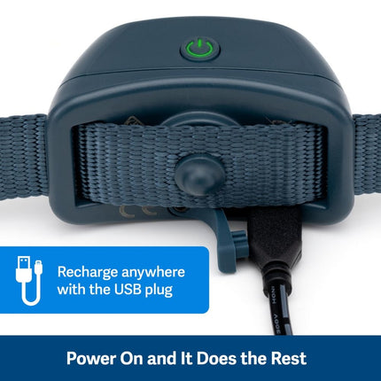 Audible Bark Collar